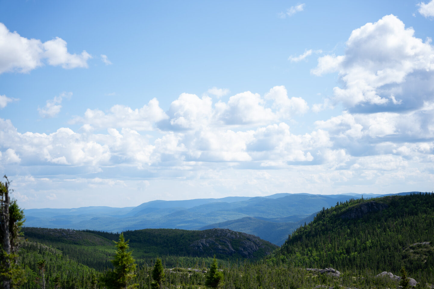 Randonnée charlevoix